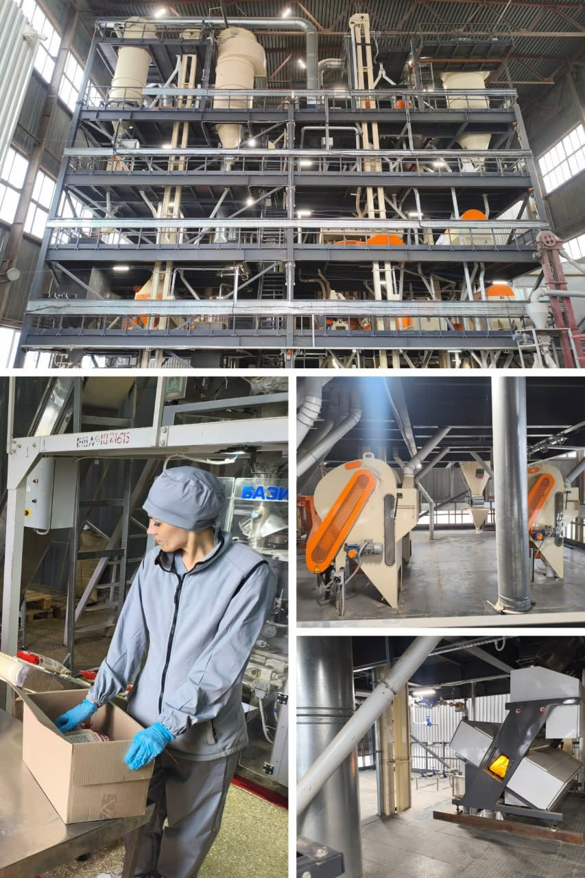 HD Group запускає новий зернопереробний завод у селі Шевченкове Київської області