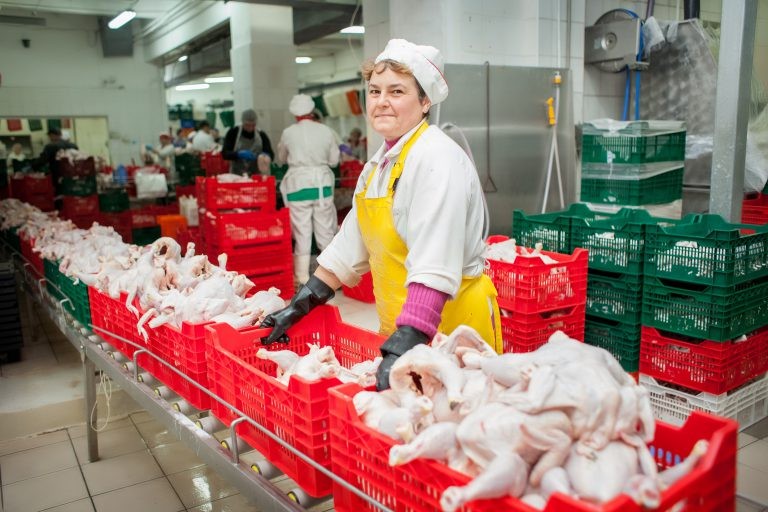 Dutch fund Safedam bought 23.76% of shares of “Volodymyr-Volynskyi poultry plant”